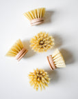 Dish Brush Replacement Head